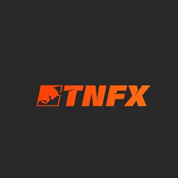 تقييم شركة تيران فوركس TNFX